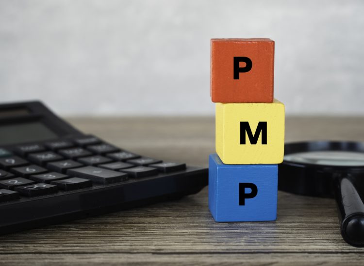 PMP Exam Preparation